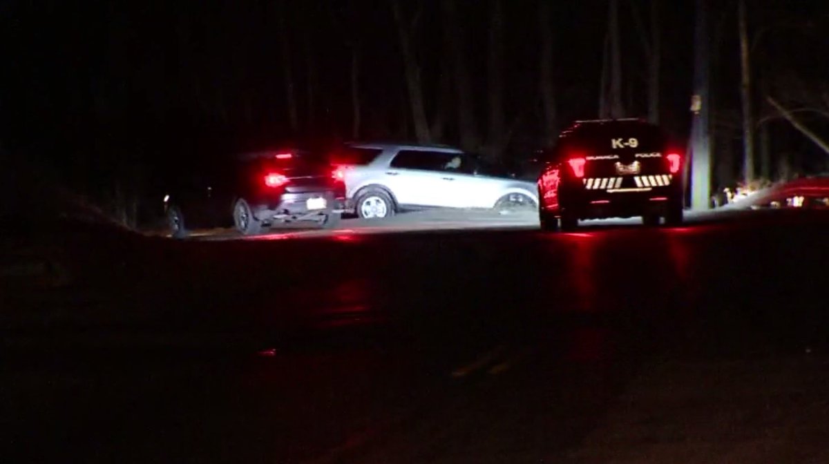 PA State Police confirm a chase began in Hookstown at Rt. 168. Police ended up cornering a suspect along a trail near Little Blue Run.  