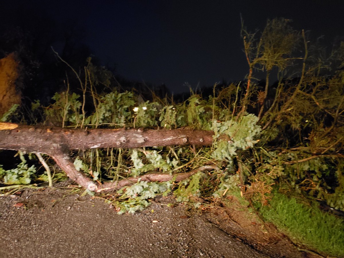 Reports of damage across Western PA this morning, after last night's strong storms. This tree fell blocking a driveway for two homes along S. Petrie Rd. in Robinson Twp. 