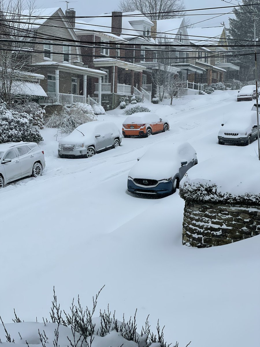 Here's the 1500 block of Berkshire Ave in Brookline.  