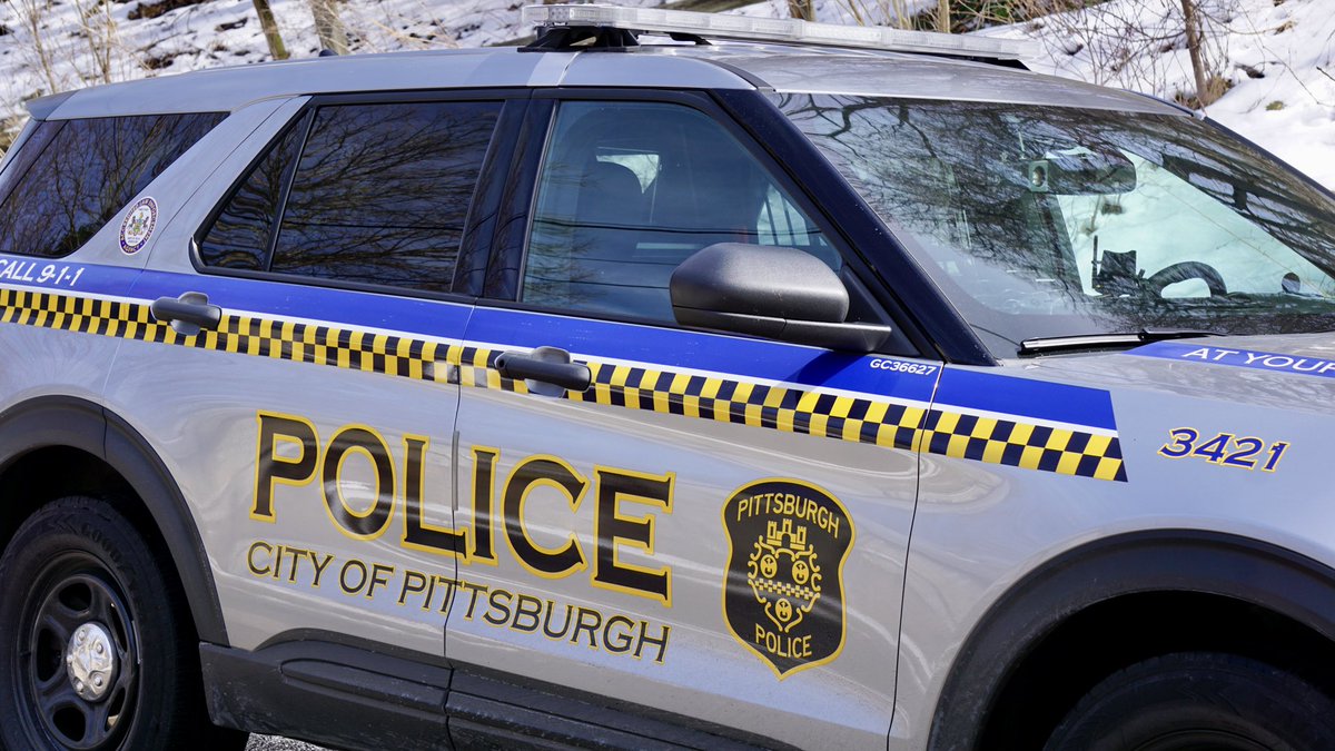 Pittsburgh police activity on Frayne Street