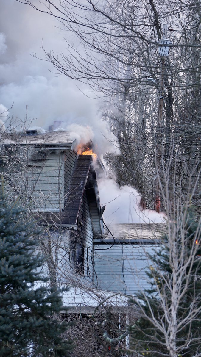 Flames coming from the roof of the Helen St. fire in Robinson Twp