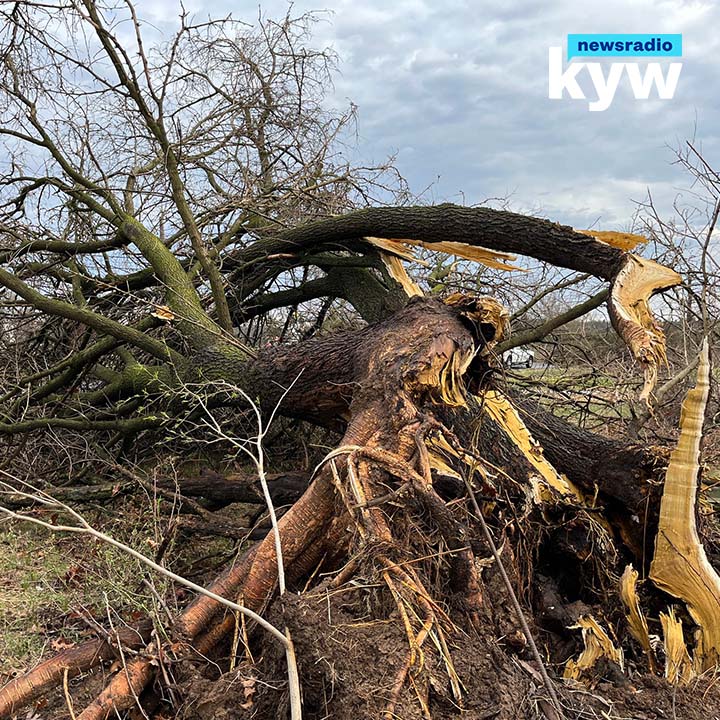 @NWS_MountHolly has confirmed it was a tornado that caused damage Thursday in Bucks County during the evening's severe storms