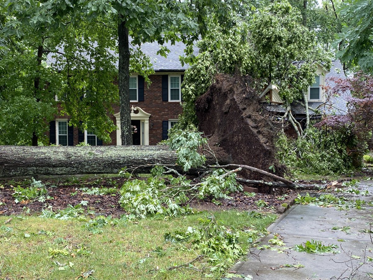 Storm response. More photos of damage.