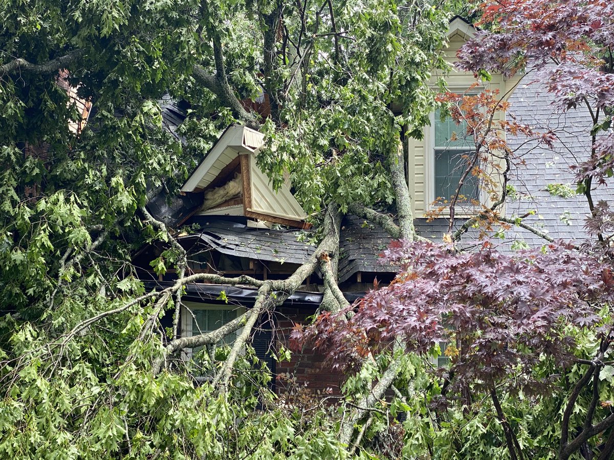 Storm response. More photos of damage.