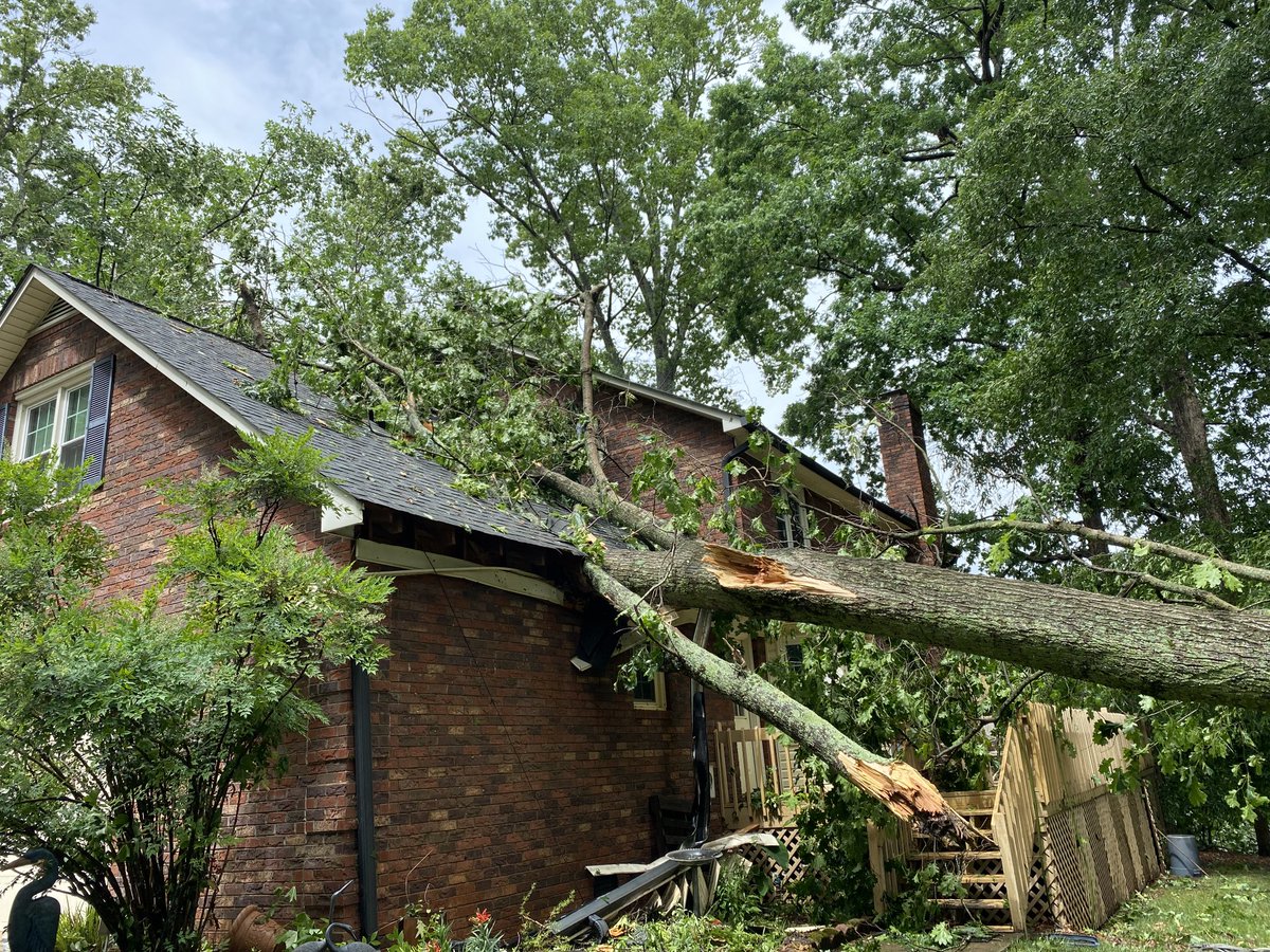 Storm response. More photos of damage.