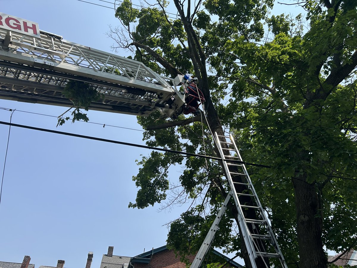Police, Fire, and EMS responded for a tree pruner dangling inverted from a waist harness about 30 feet above the ground in the 200 block of Amboy St. Rescue crews used a ladder truck and patient harness and a rope lowering system to bring him safely to the ground before 2 p.m