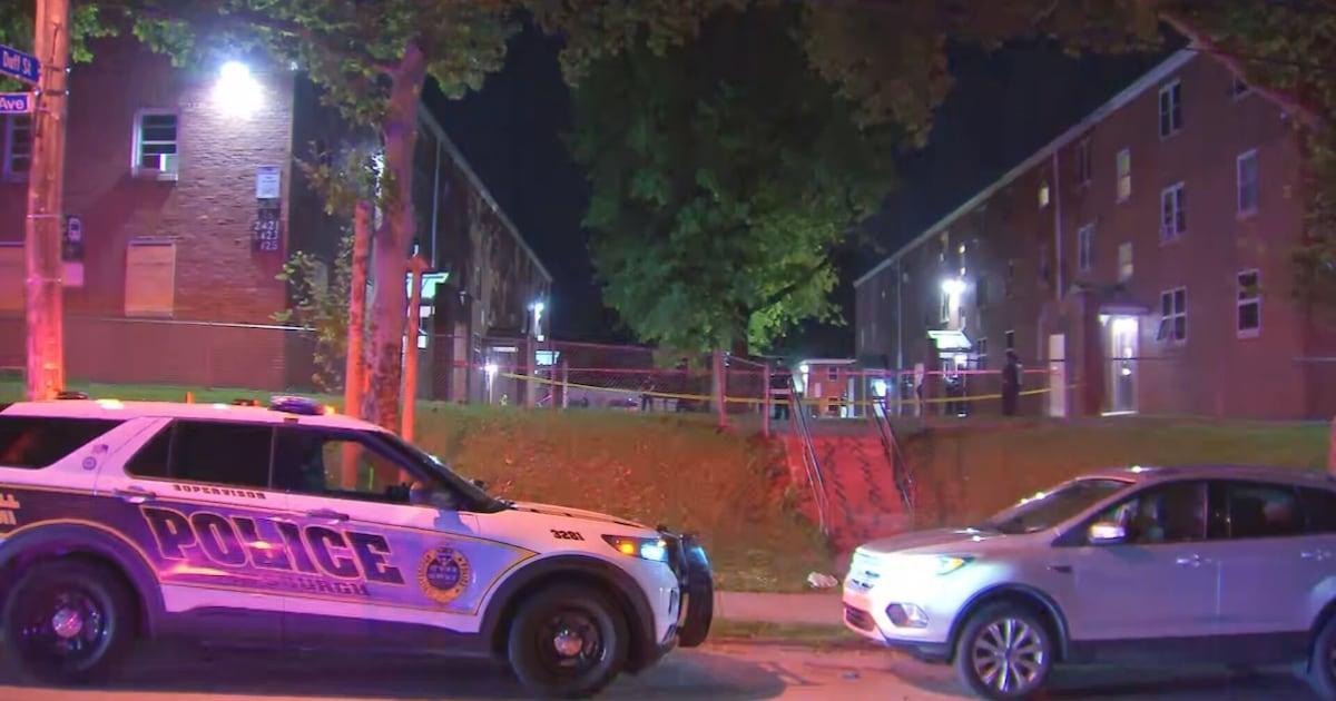 Man shot, killed in Pittsburgh; witness led away in handcuffs