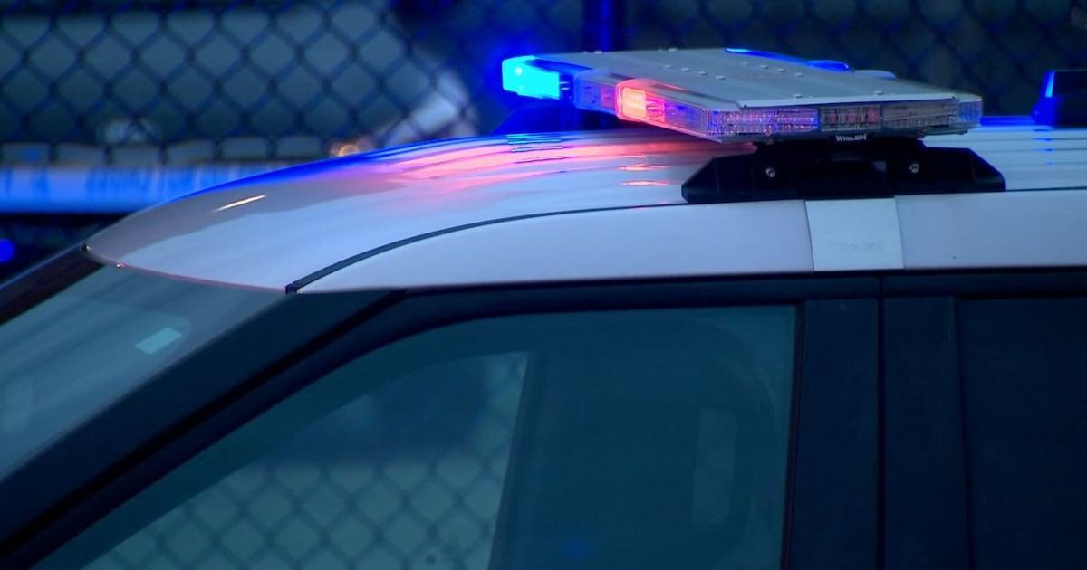 Port Vue man arrested after search warrant yields drugs, guns, cash, DA says