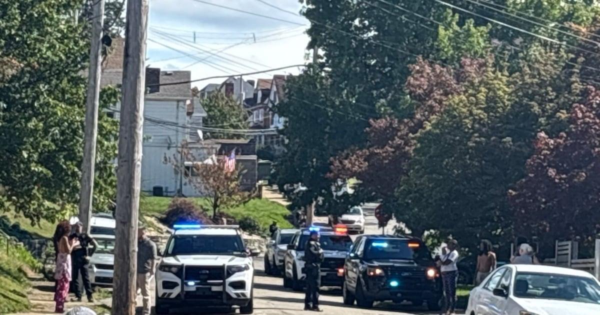 Man shot during domestic incident in Pittsburgh, police say
